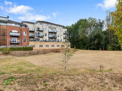 Picture 30